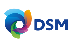 Logo_DSM